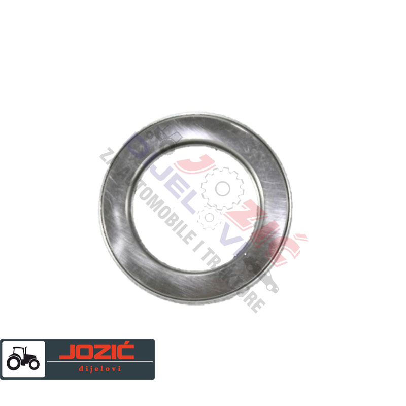 Daisy on the Ohoopee